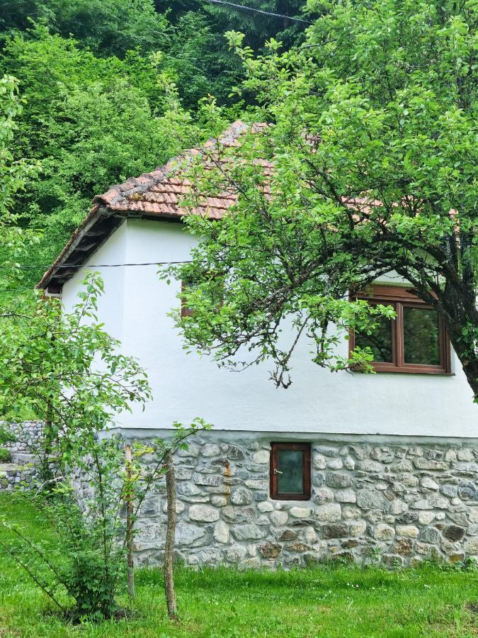 מויקובאץ Farmstead Green Haven מראה חיצוני תמונה