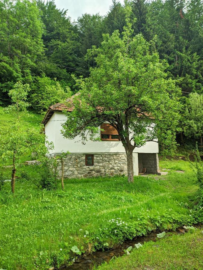 מויקובאץ Farmstead Green Haven מראה חיצוני תמונה