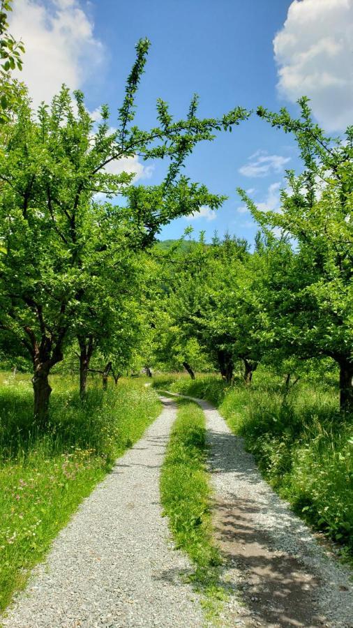 מויקובאץ Farmstead Green Haven מראה חיצוני תמונה