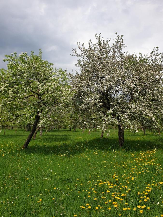מויקובאץ Farmstead Green Haven מראה חיצוני תמונה