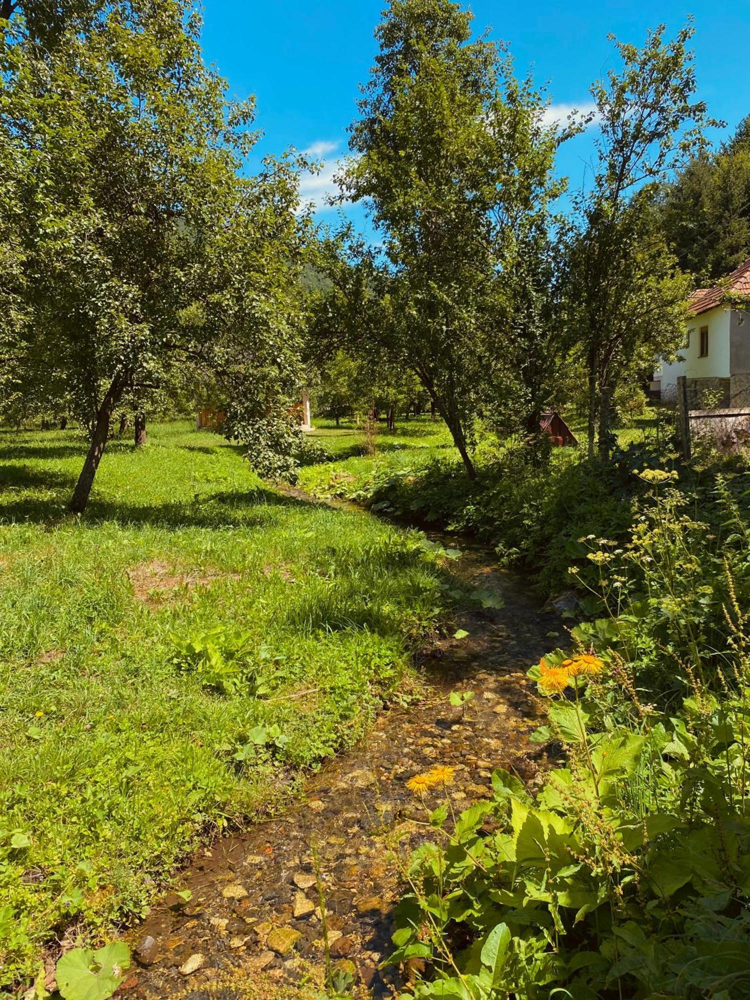 מויקובאץ Farmstead Green Haven מראה חיצוני תמונה